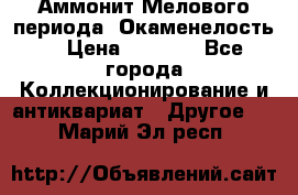 Аммонит Мелового периода. Окаменелость. › Цена ­ 2 800 - Все города Коллекционирование и антиквариат » Другое   . Марий Эл респ.